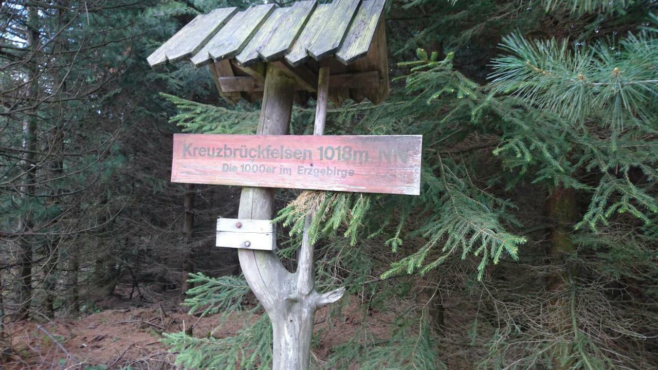 Ferienwohnung Korn Mit Tiefgarage Und Skiraum Oberwiesenthal Dış mekan fotoğraf